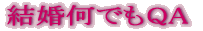 �������ł�QA 