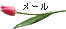 �������k���@�����@���[��